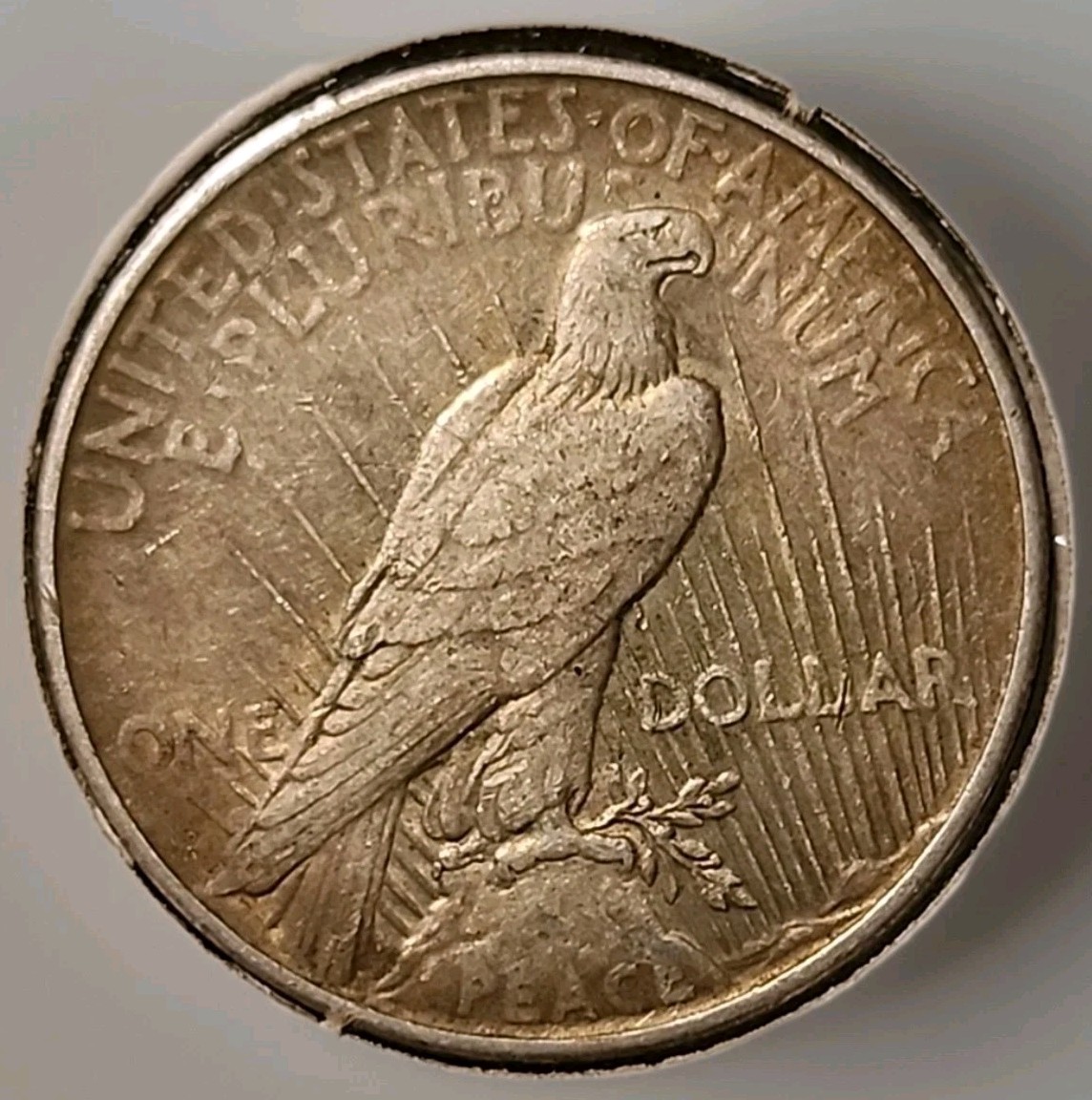 1926-D Peace Silver Dollar☆🚨Semi-Key Date☆Dark Tone☆