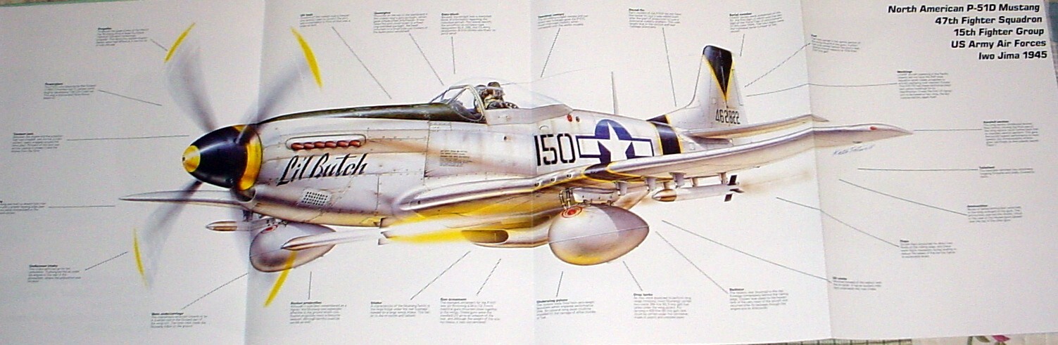 North American P-51 P 51 Mustang Picture Poster Aviation Aircraft Decor NOS