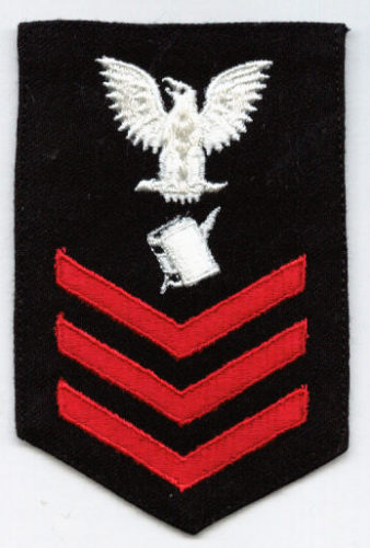 USN RATING BADGE FEMALE PN1 PESONNELMAN FOR BLUES PO1