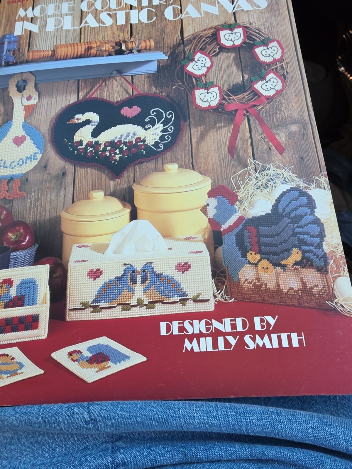 Leisure Arts More Country Things in Plastic canvas #1100
