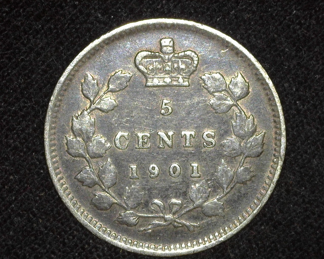 CANADA 1901 5 CENTS KM2 SILVER EXTREMELY FINE ~D20