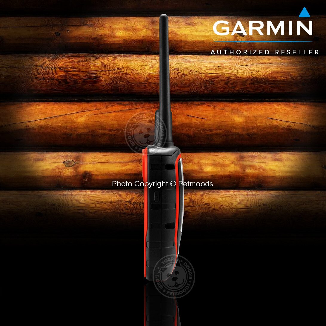 Garmin Alpha 100 / TT15X Dog Device GPS Collar Bundle