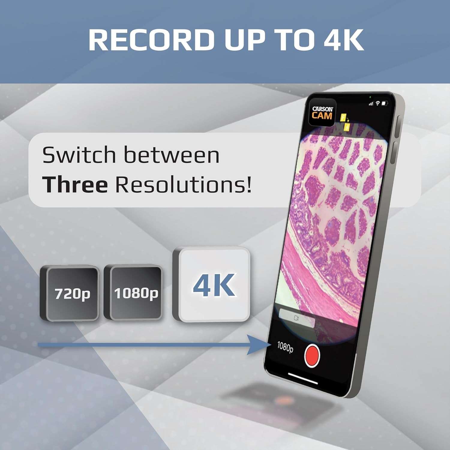 Lightweight MicroBrite Plus 60x-120x Pocket Microscope - Ideal for Science Labs