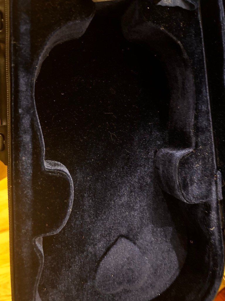 Maestro violin with two bows