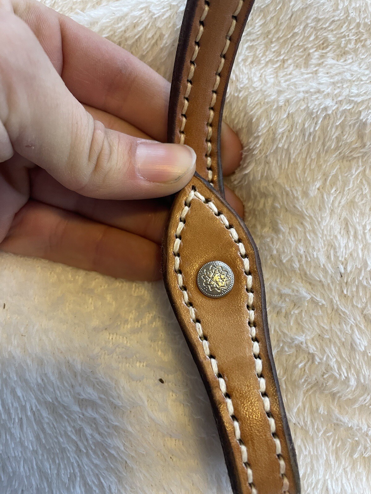 schutz brothers split reins