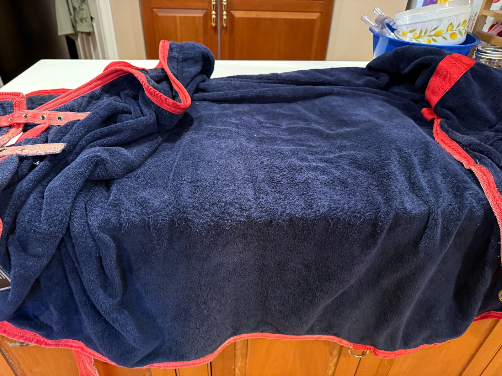 Horse MASTER TERRY CLOTH COOLER/AFTER BATH NAVY/RED 80" 2 STRAPS FRONT 1 SURCIN