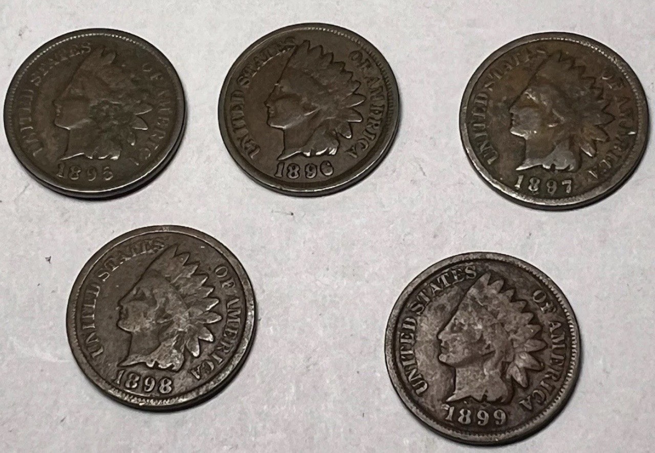 Indian Head Cents 1859-1909 (1 coin) Random Dates