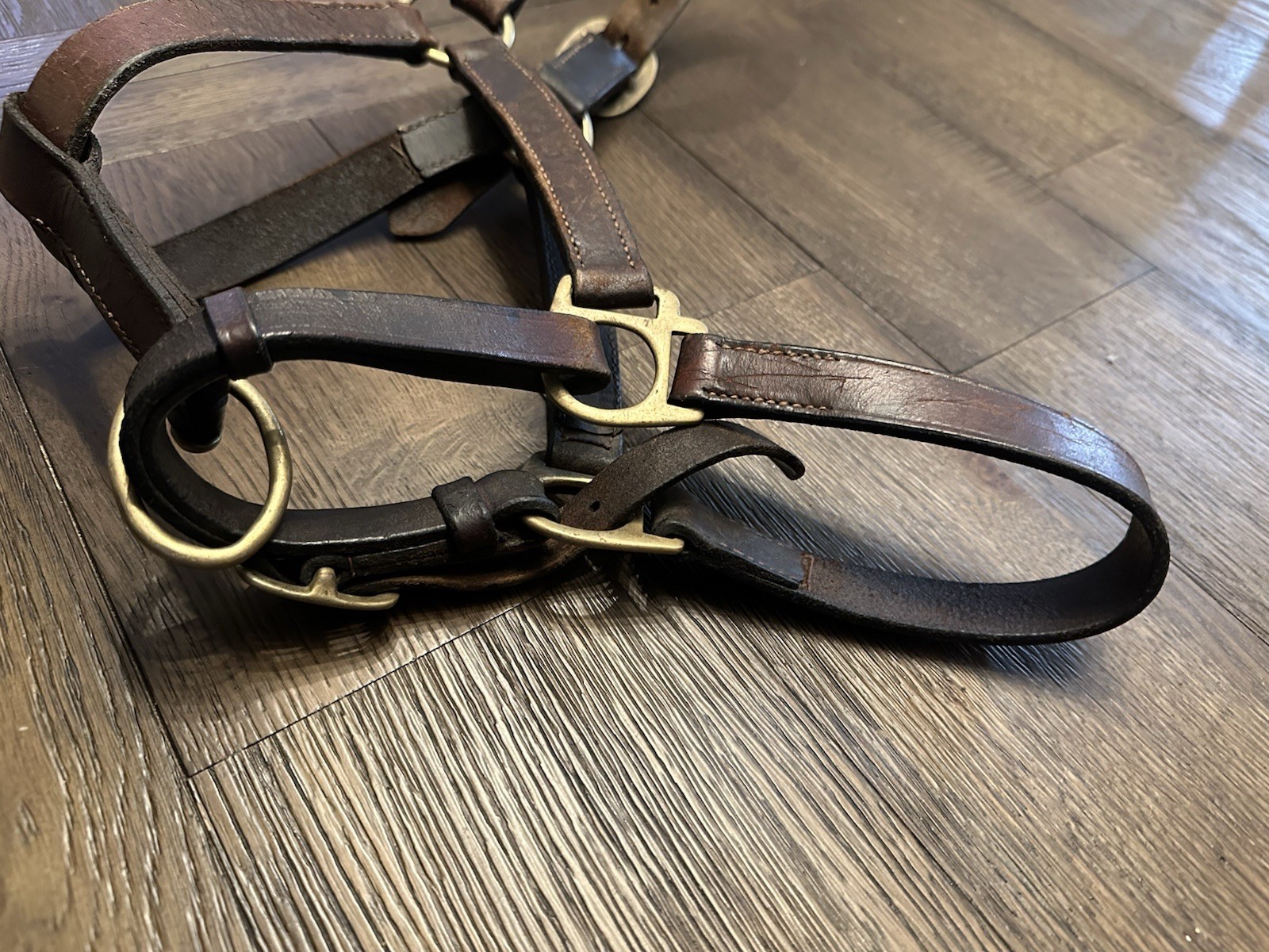 Horse Tack - Leather Track Halter