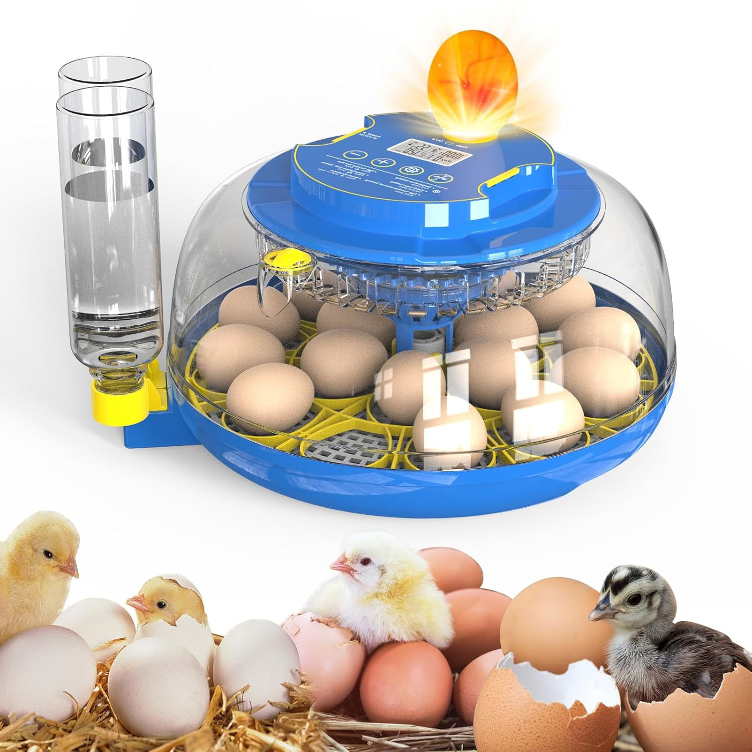 18-Egg 360° Panoramic Egg Incubator with Automatic Egg Turning and Humidity Cont