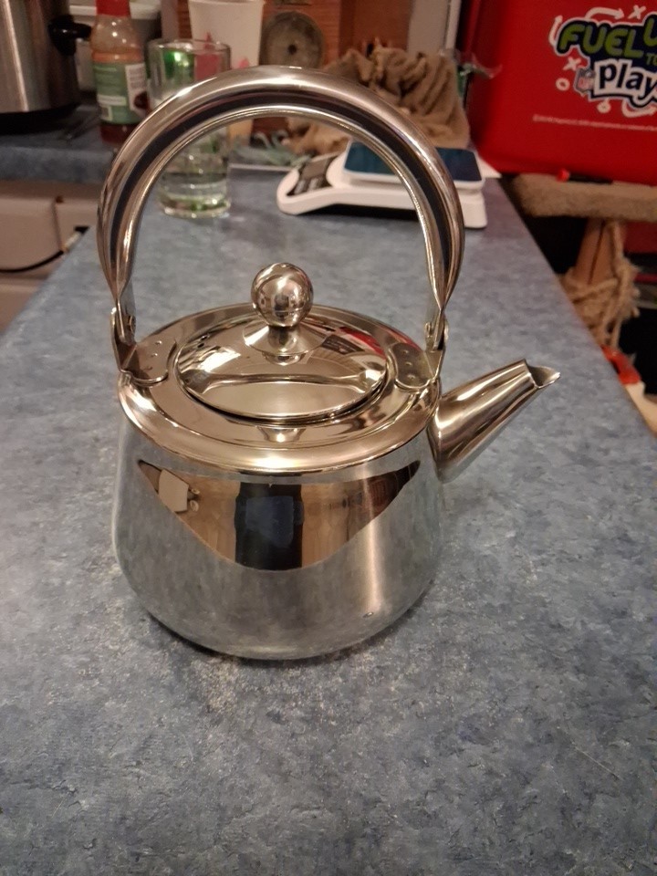 Well Equipped Kitchen 18/10 Stainless Steel Small Tea Pot Great Condition!