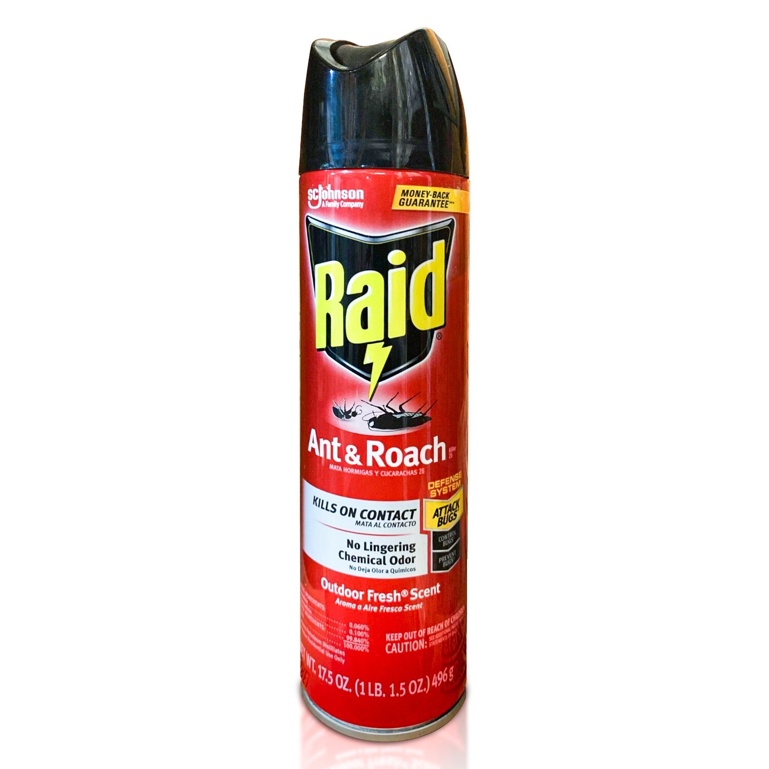 Raid Ant & Roach Killer: Your Defense Against Household Pests | 17.5 fl oz