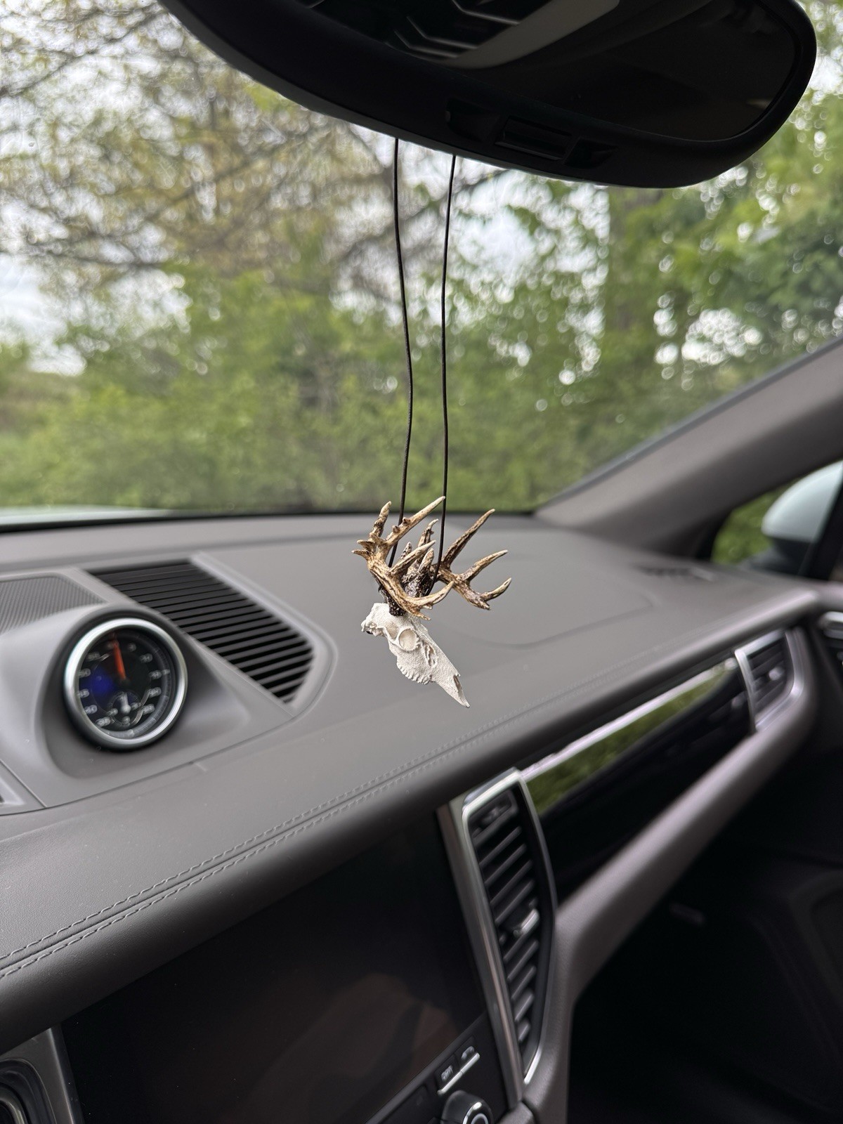2 Mini Deer Skull & Antler Mirror Hangers, White/Brown