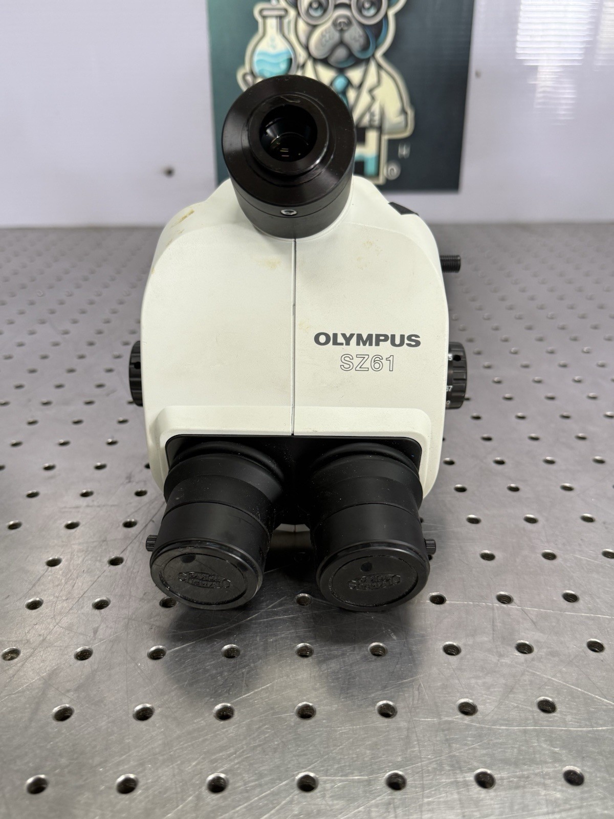 Olympus SZ61TR Stereo Microscope Trinocular Zoom Head Tested Video