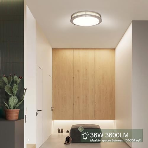 Dimmable LED Flush Mount Ceiling Light Fixture 13inch 2pack with remote Silver