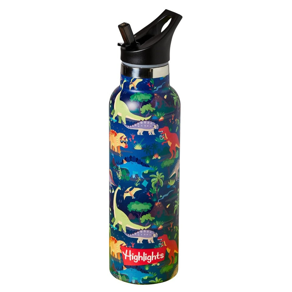 Dinosaur - Green Highlights Insulated Water Bottle 20oz Stainless Steel Vacuum.