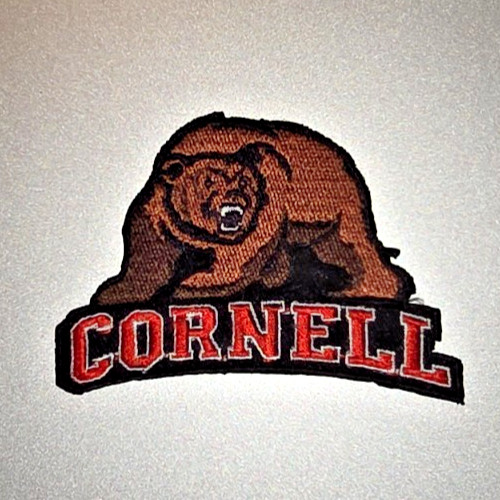 CORNELL UNIVERSITY Embroidered Iron/Sew On Patch 3.5"X2.25" SHIPPED FROM USA