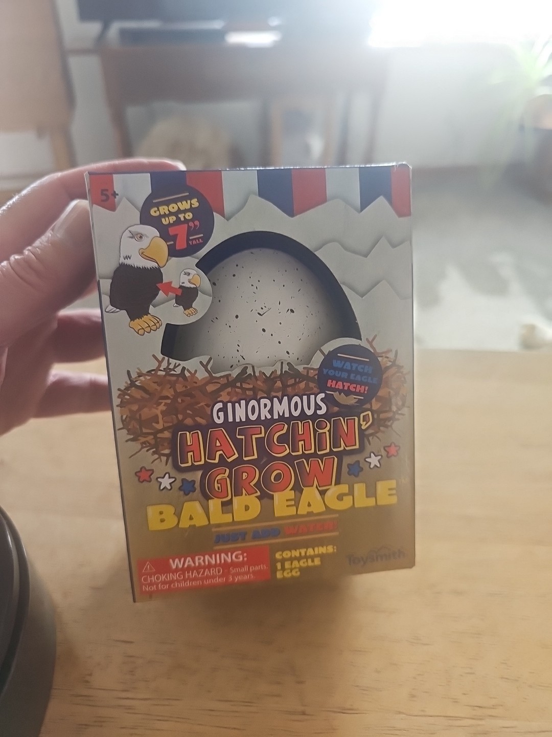Toysmith Ginormous Hatchin' Grow Bald Eagle Egg Just Add Water