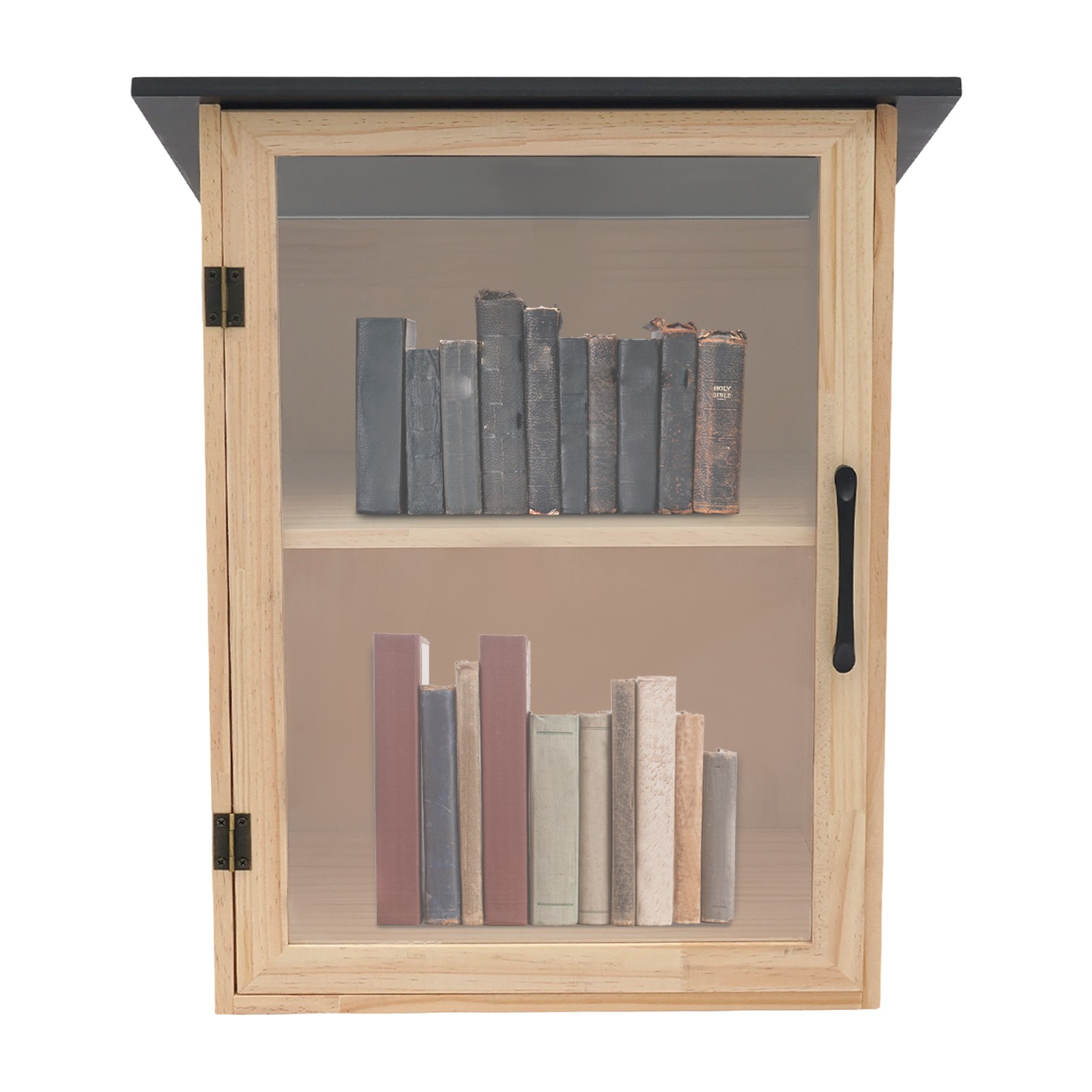2-Tier Books Storage Box Newspapers Organizer Little Library Cabinet for Sharing