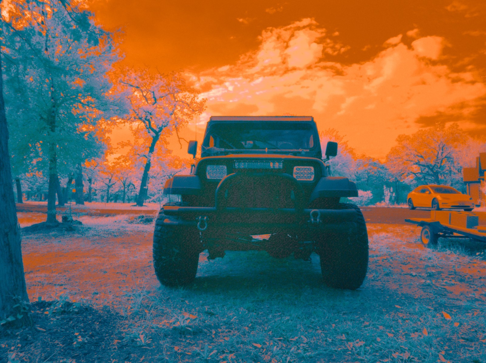 Infrared converted Camera Nikon D70 Full Spectrum