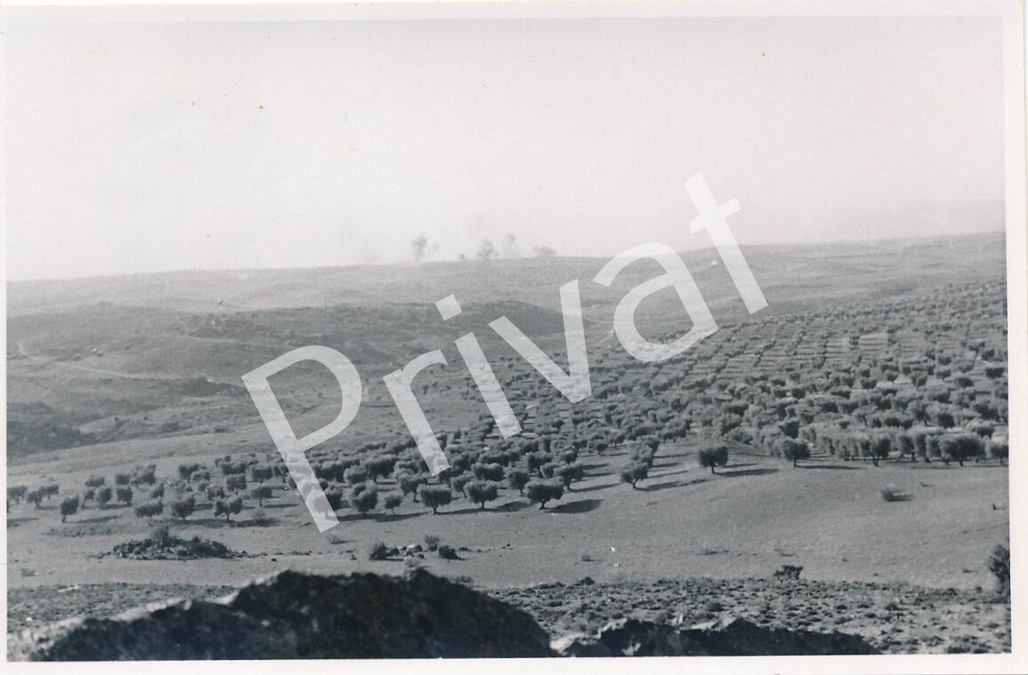 Photo WW II Legion Condor Panorama Battle Spain España F1.54