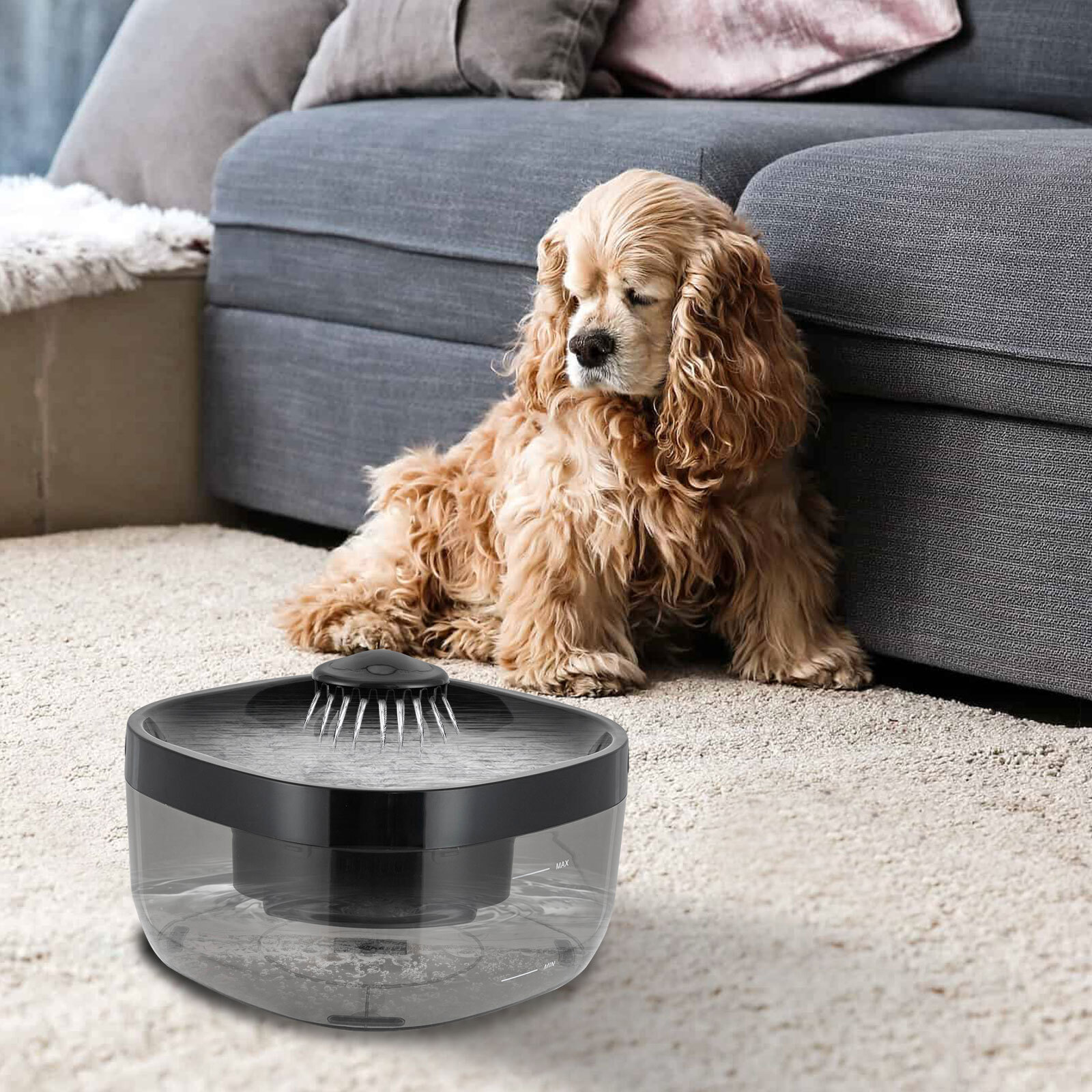 Modern Cat Water Fountain Pet Water Fountain Cat Drinking Fountain CYD003 Black