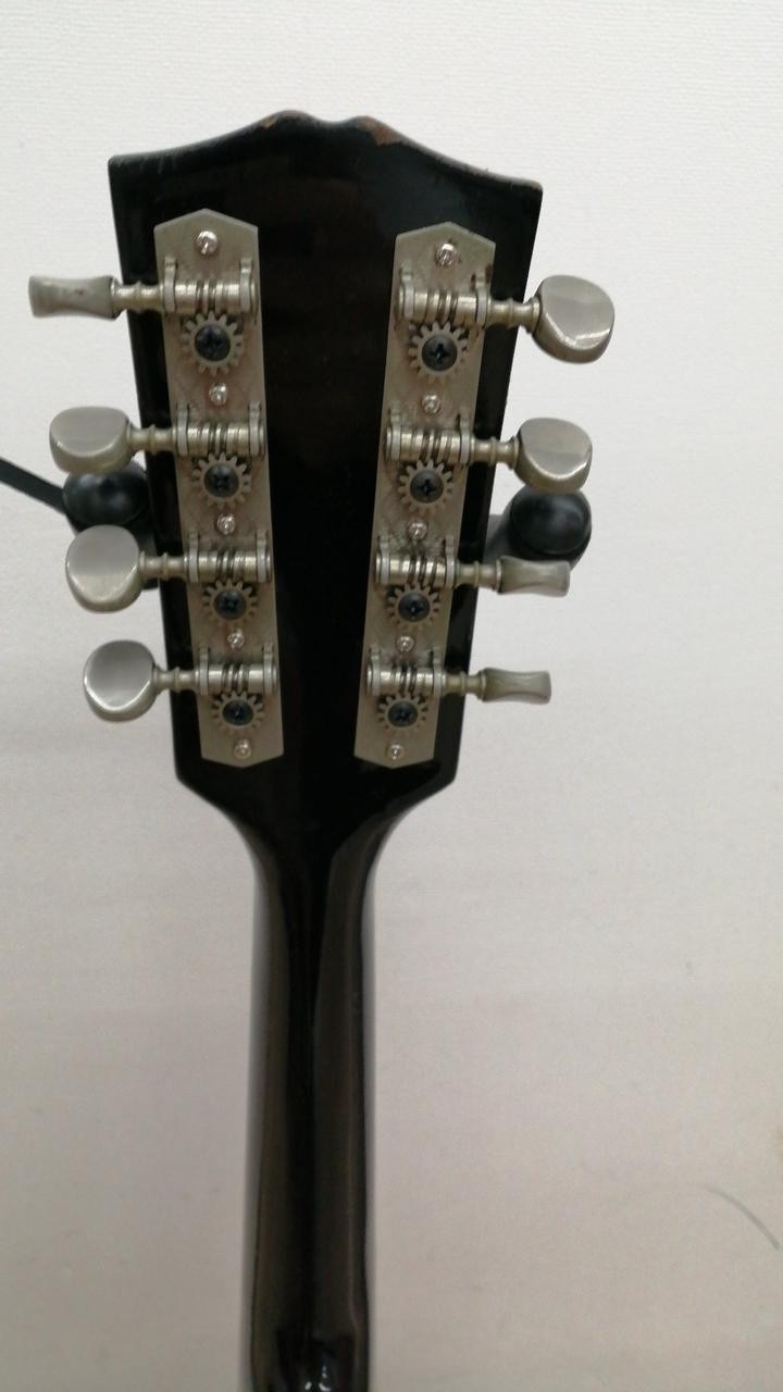 JAGARD Mandolin