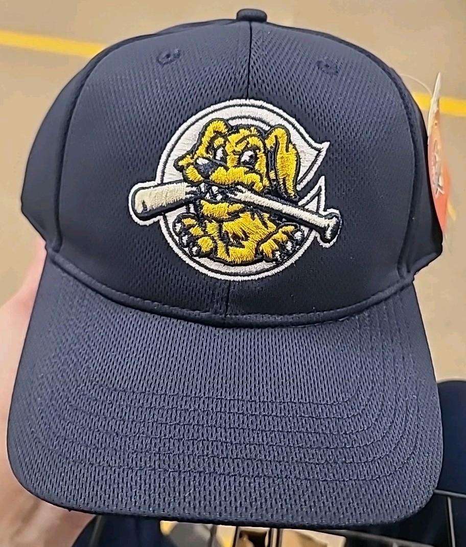 NWT OC Sports Charleston RiverDogs MiLB Blue Baseball Hat Adjustable OSFM