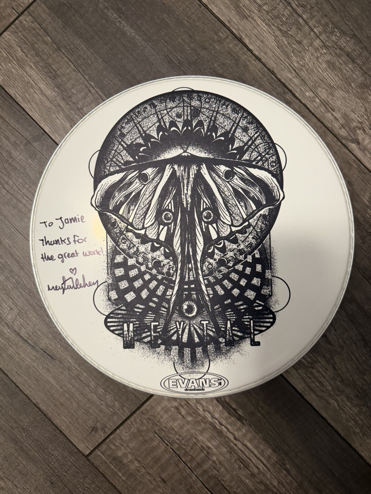 RARE! Signed Meytal Cohen Drummer Drum Head Artist Note Moth Geometry Autograph