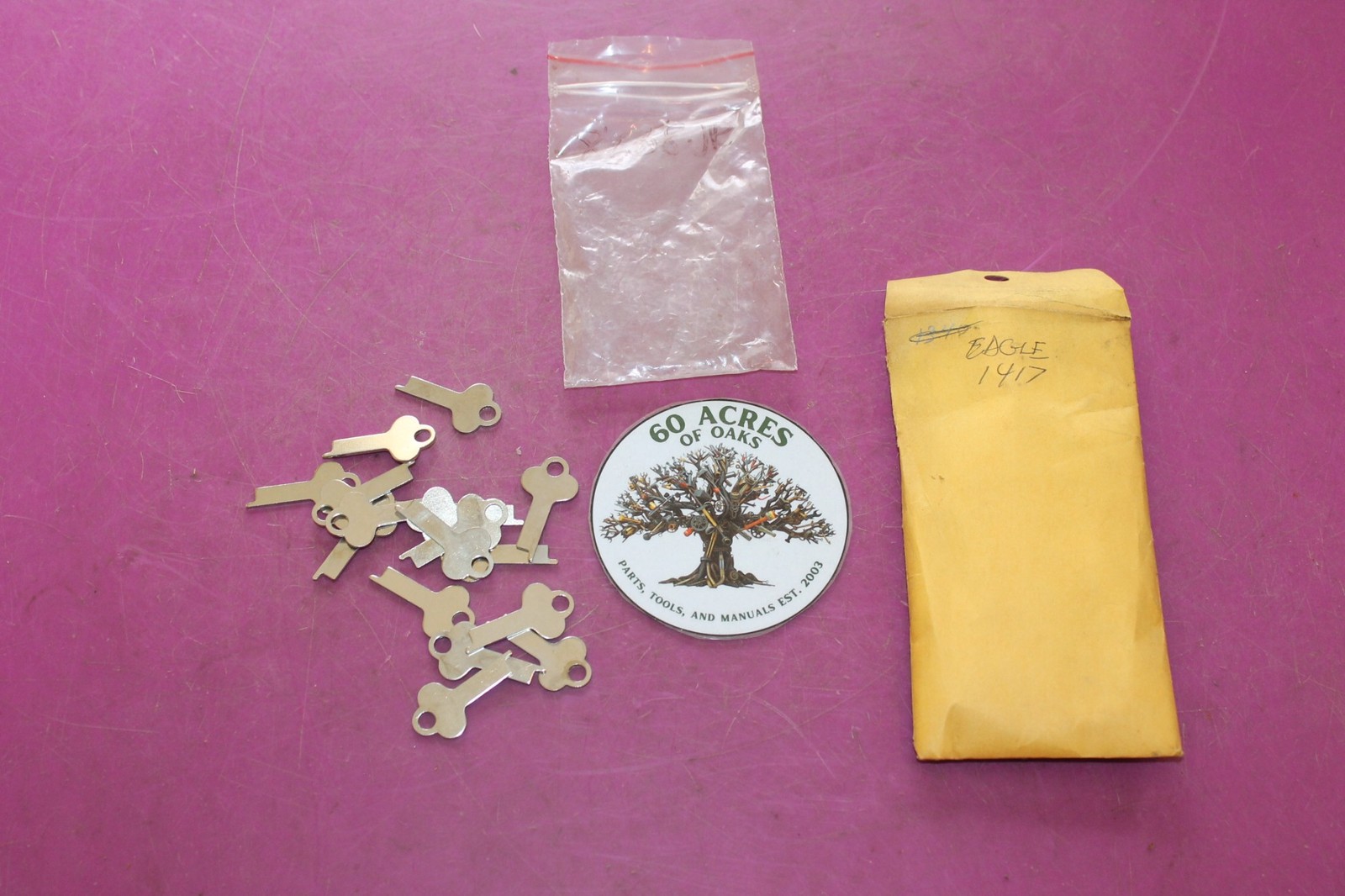 Seventeen (17) Unbranded Key Blanks. Fit Eagle 1417. 8658JR. See pic.