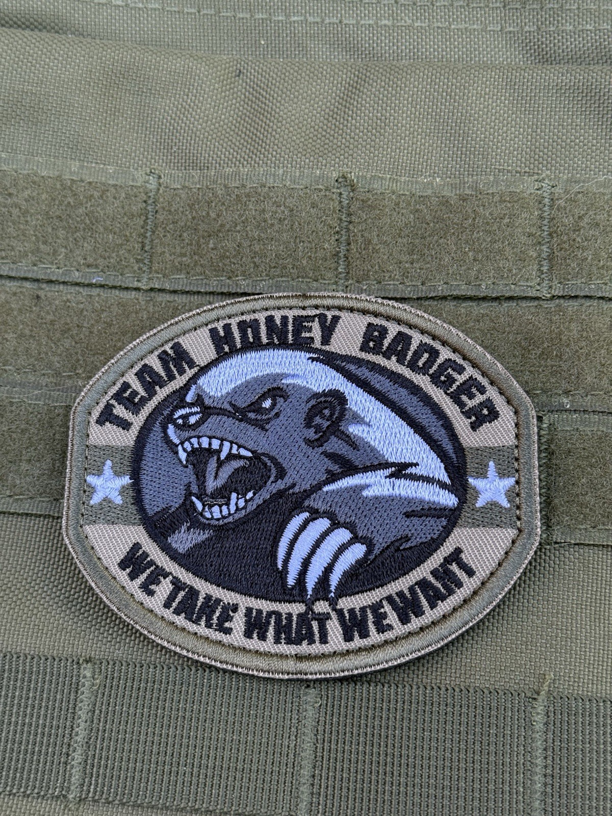 Honey Badger Team Take What We Want Tactical Military Hook Loop Patch Green