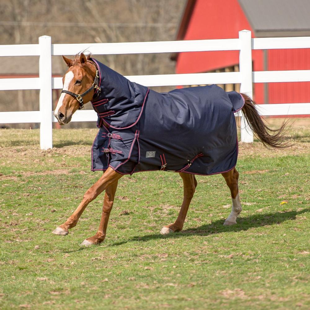 TuffRider 1200 D Comfy Winter Medium Weight Turnout Blanket W/ Detachable Neck 2