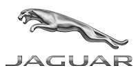 Genuine Jaguar Transfer Case Input Shaft Seal C2S5132