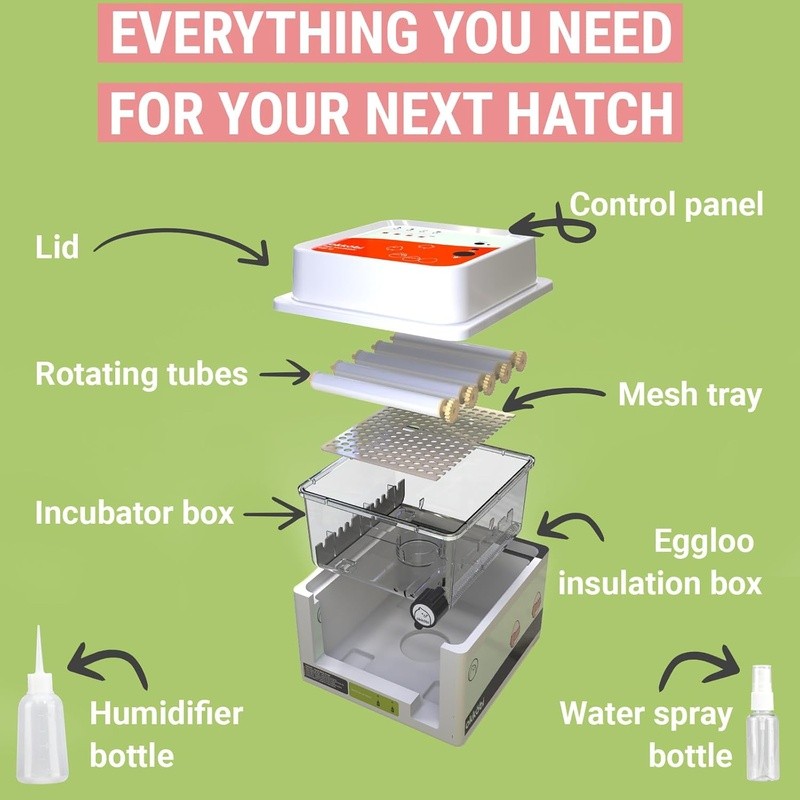 Automatic Egg Incubator 12 Eggs Turner Candler Temperature Control Easy Use