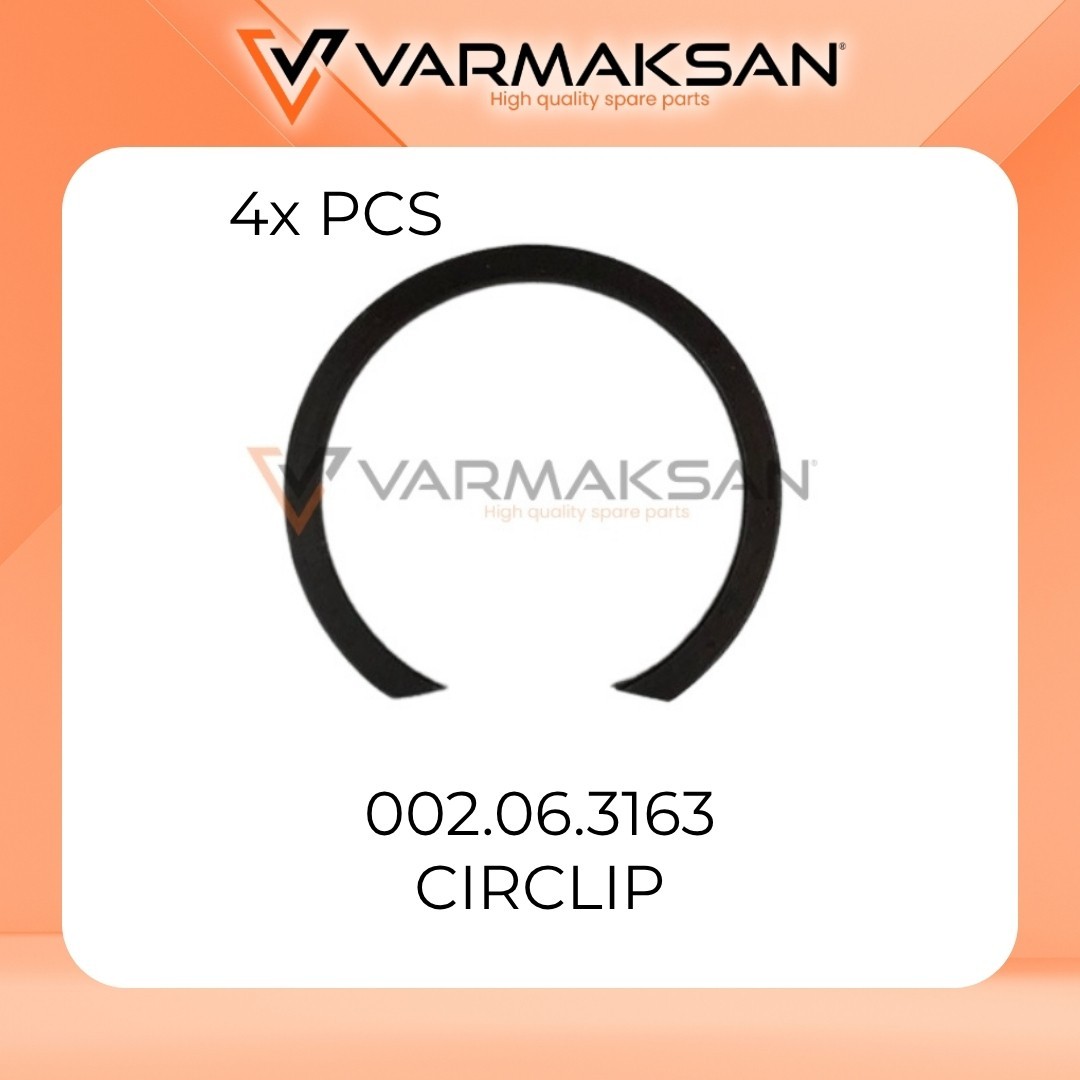 PACK OF 4 NEW DANA SPICER 002.06.3163 CIRCLIP - 4X PCS