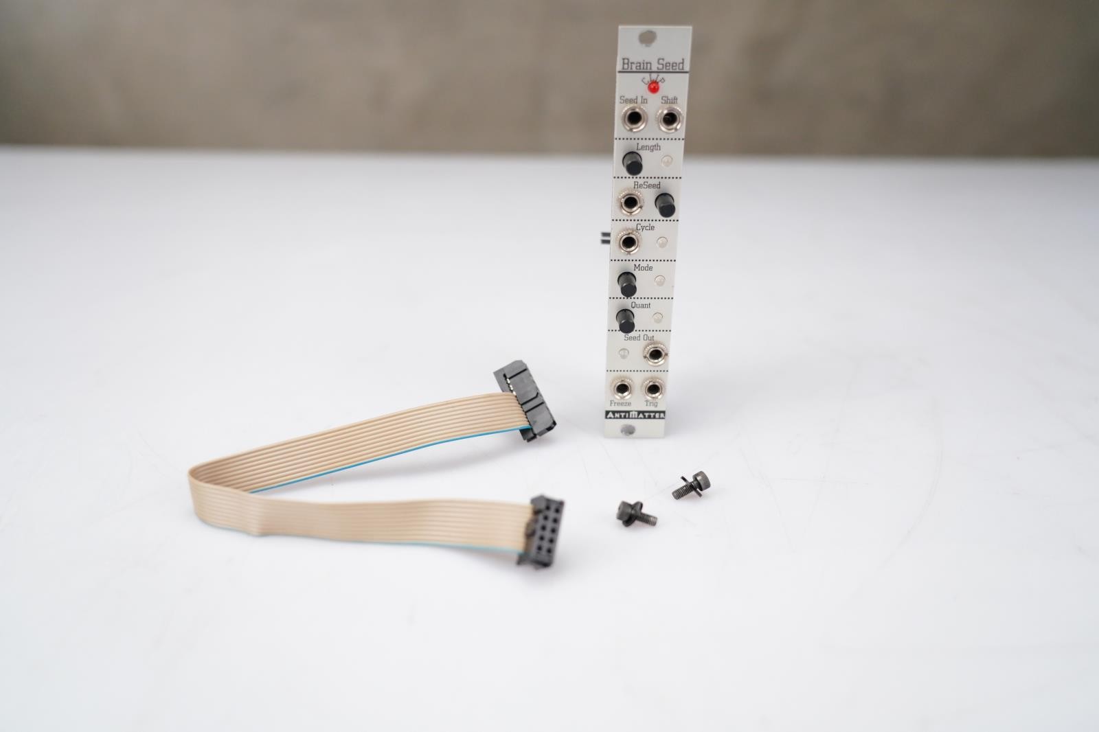 Antimatter Brain Seed Eurorack Module #58470