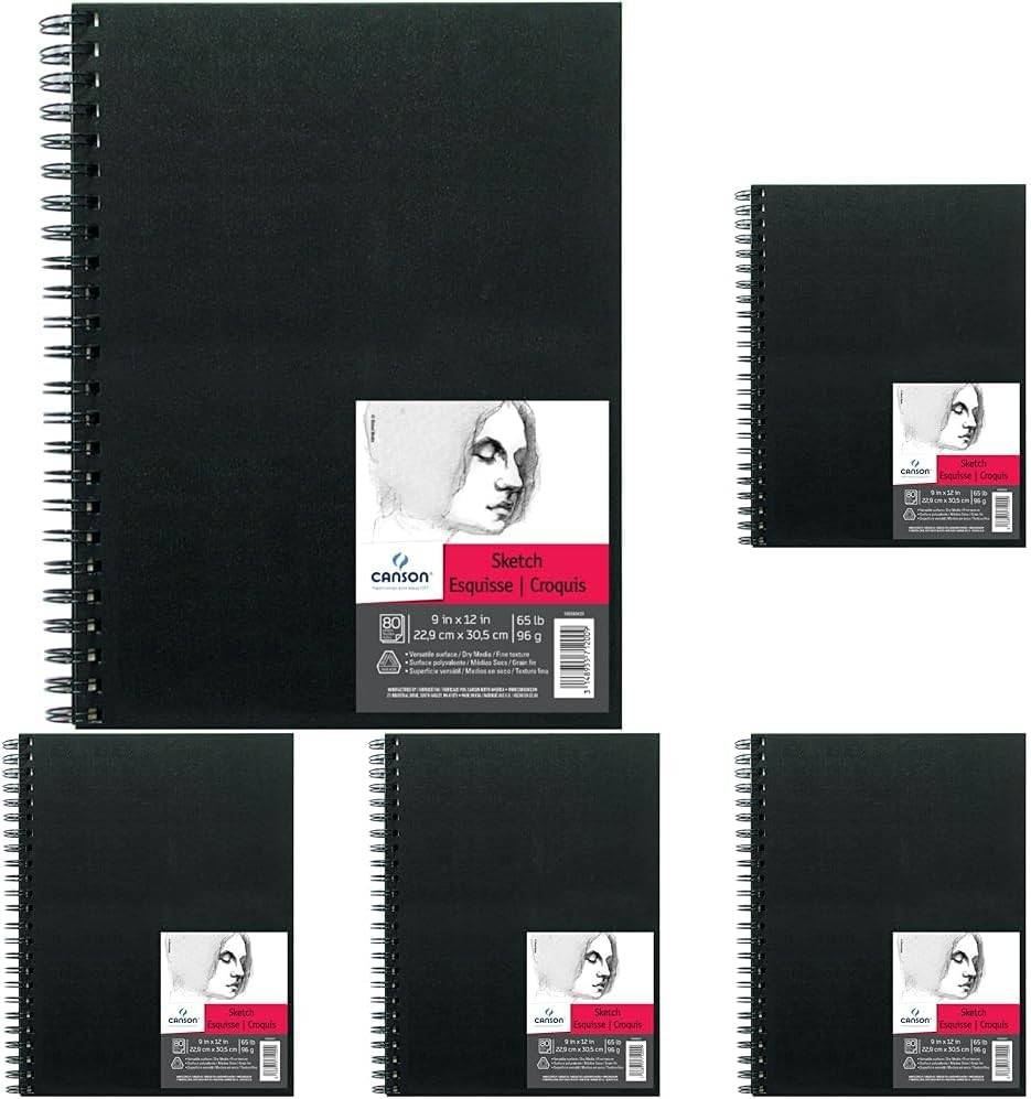Artist Series Sketch Book Paper Pad, for Pencil and Charcoal, Acid Free, Wire Bo