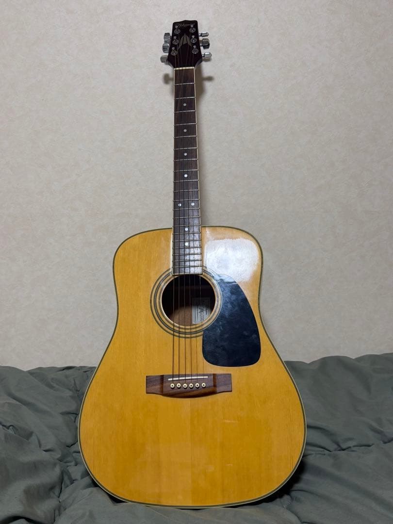 The moment we meet is your last chance! Takamine T-5 /N acoustic guitar in