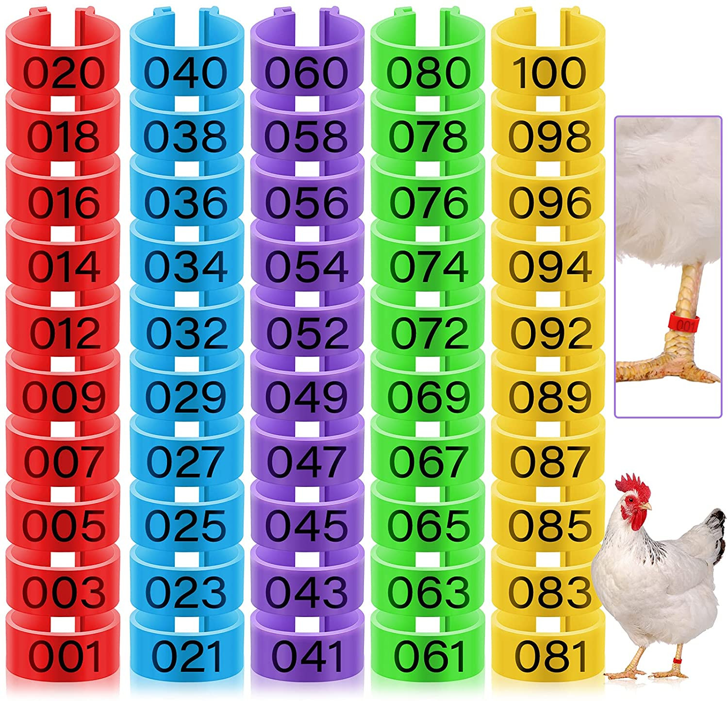 Placas Para Marcar Gallos Gallinas Pollos Pinches Anillos Accesorios 100 Pcs