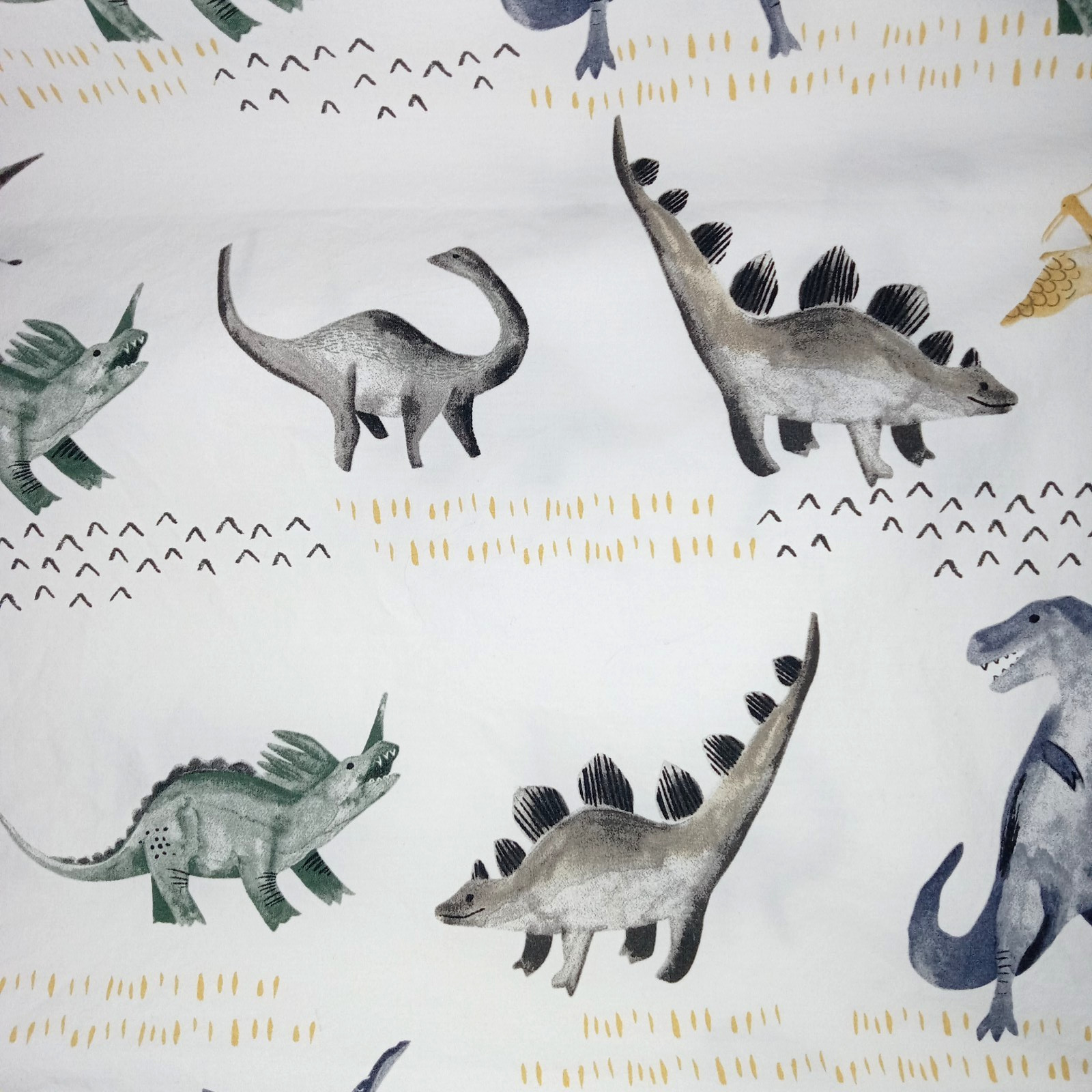 Pottery Barn Kids Organic Cotton Pillowcase Standard Size Boys Dinosaur Theme
