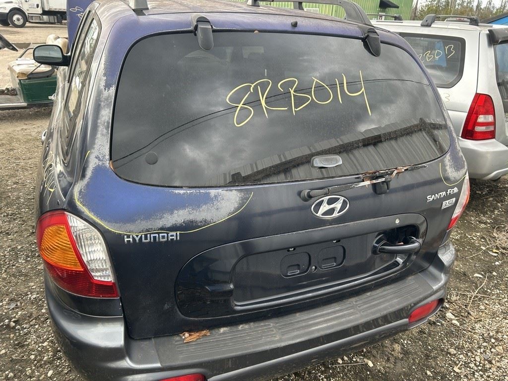 Driver Left Front Spindle/Knuckle With ABS Fits 02-04 SANTA FE 104815536