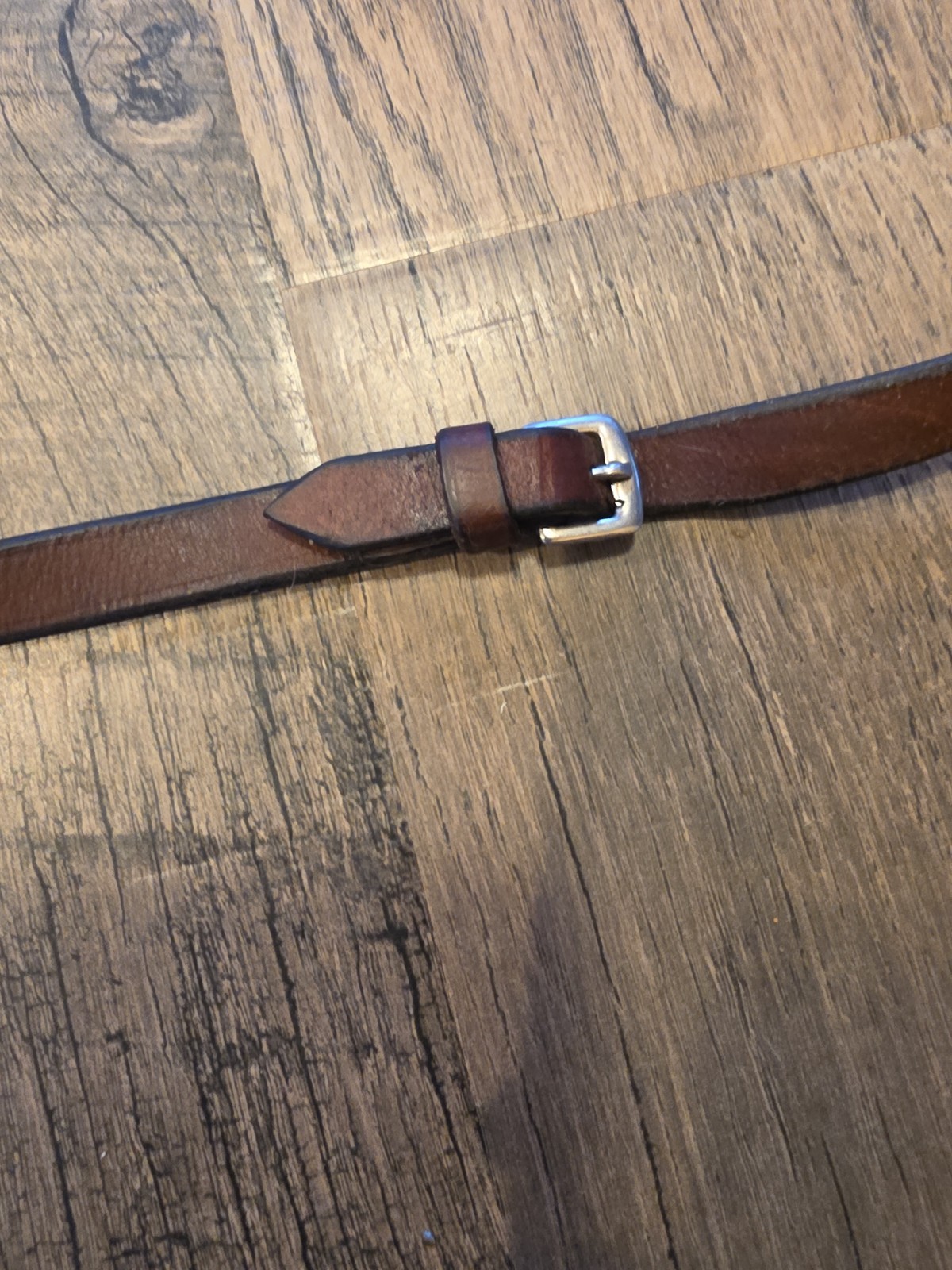 Horse Reins