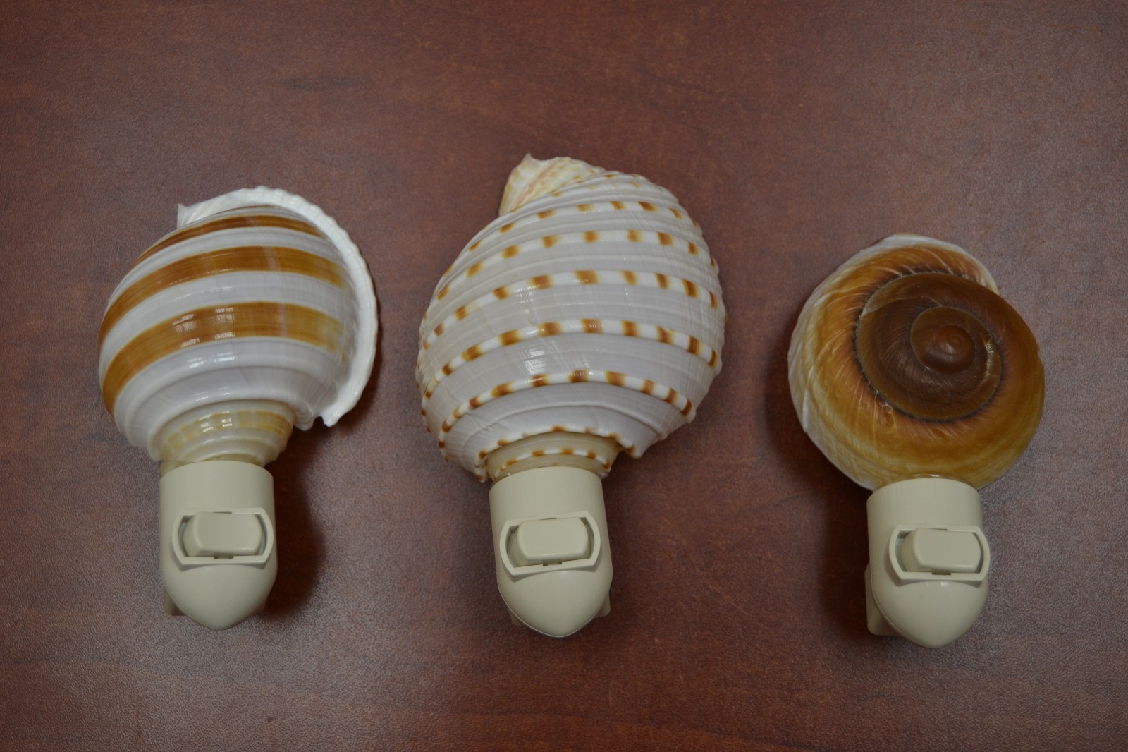 3 PCS LANDSNAIL, TUN, AND SPOTTED BANDED TUN SEA SHELL NIGHTLIGHT #7343/4/5
