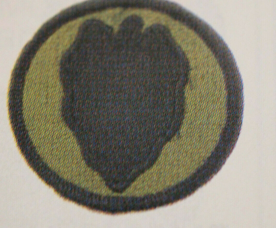 24TH INFANTRY DIVISION Military PATCH  SUBDUED   BDU