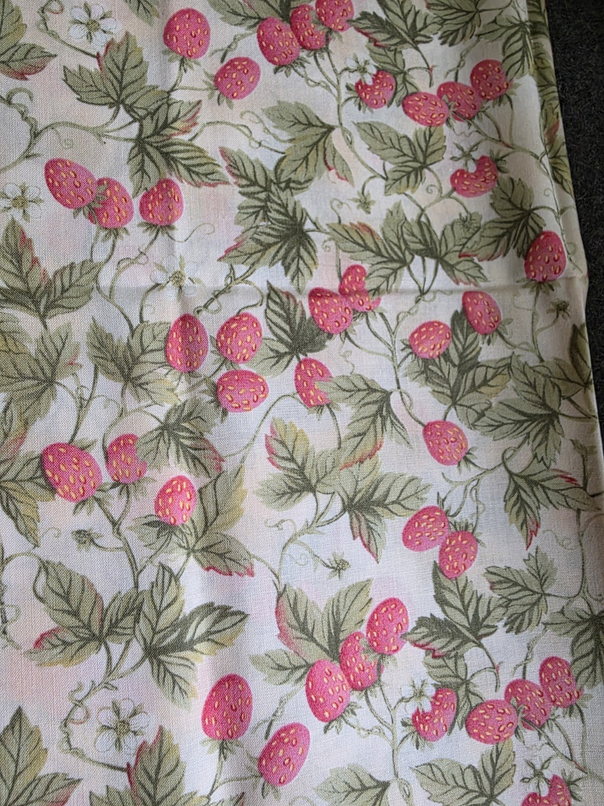 Awakening To Spring By Maywood Studio Eesco.  1 Yard G15. Strawberry Pattern