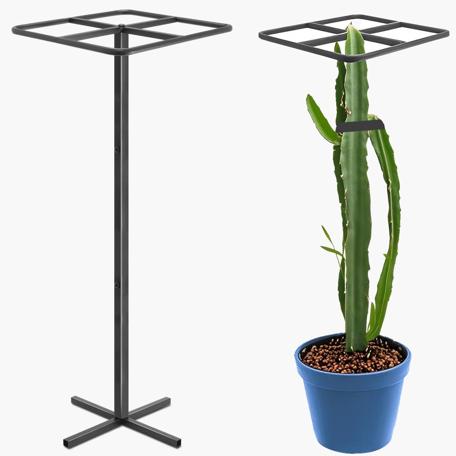 Gavinjitao Metal Dragon Fruit Trellis，Adjustable Plant Black