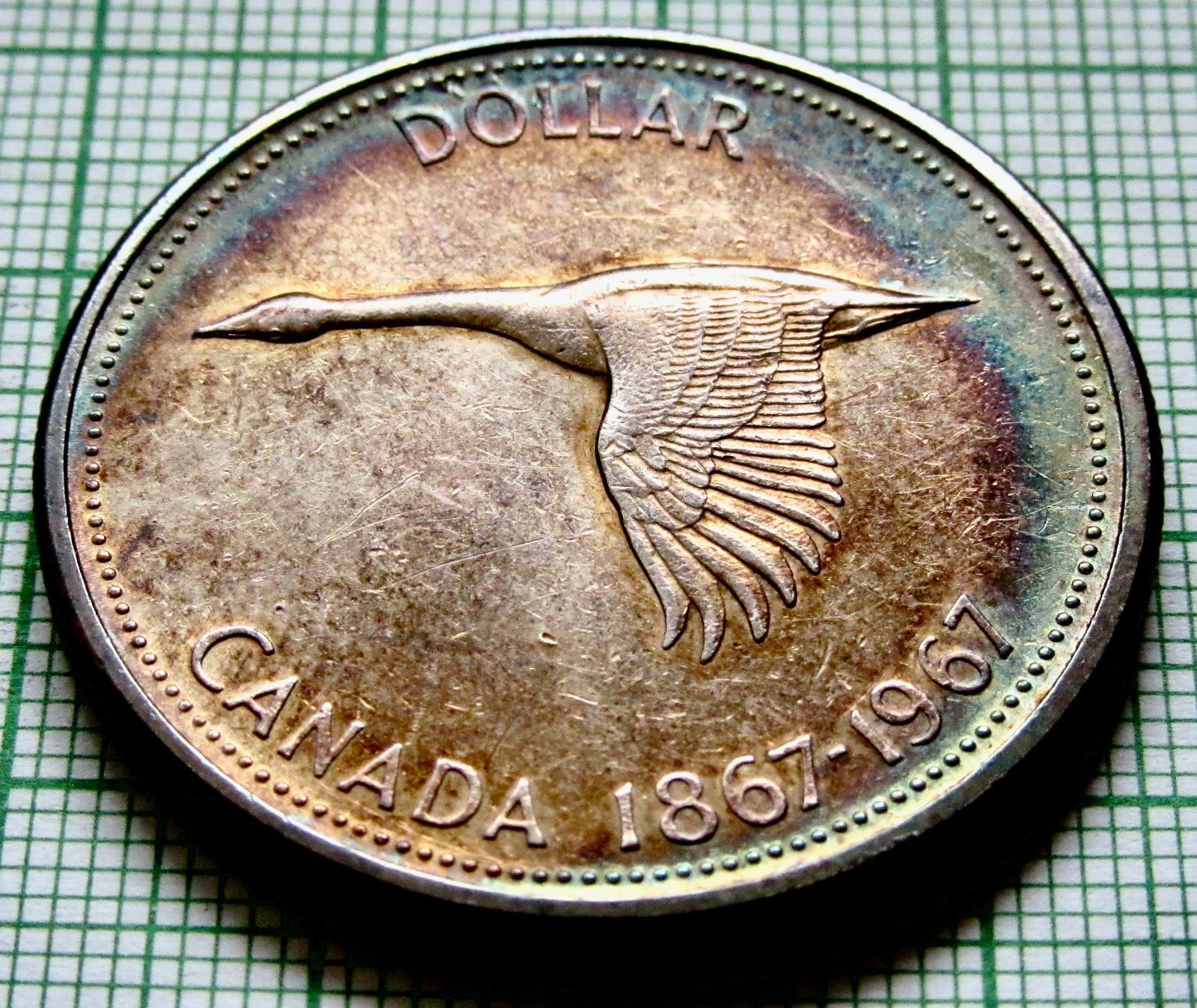 CANADA 1967 Dollar, Flying Goose - Confederation Anniv SILVER COLOUR TONED AUNC