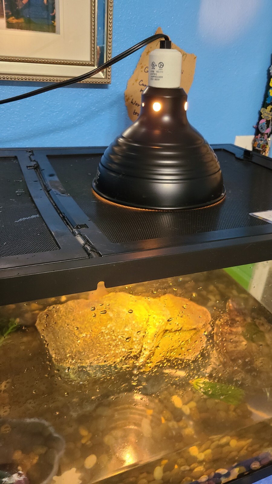 **Sold**