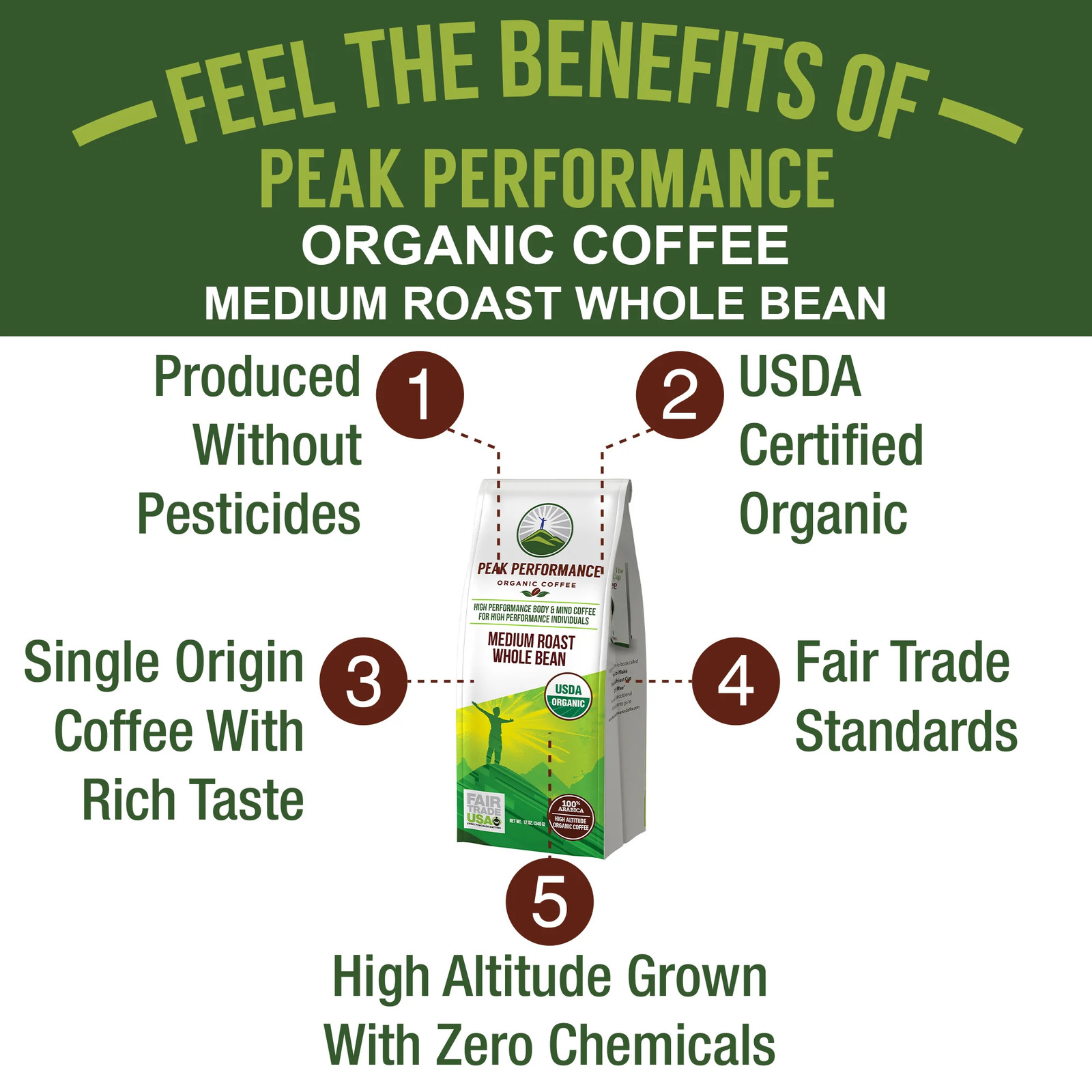 Organic High Altitude Coffee (Medium Roast Whole Bean)