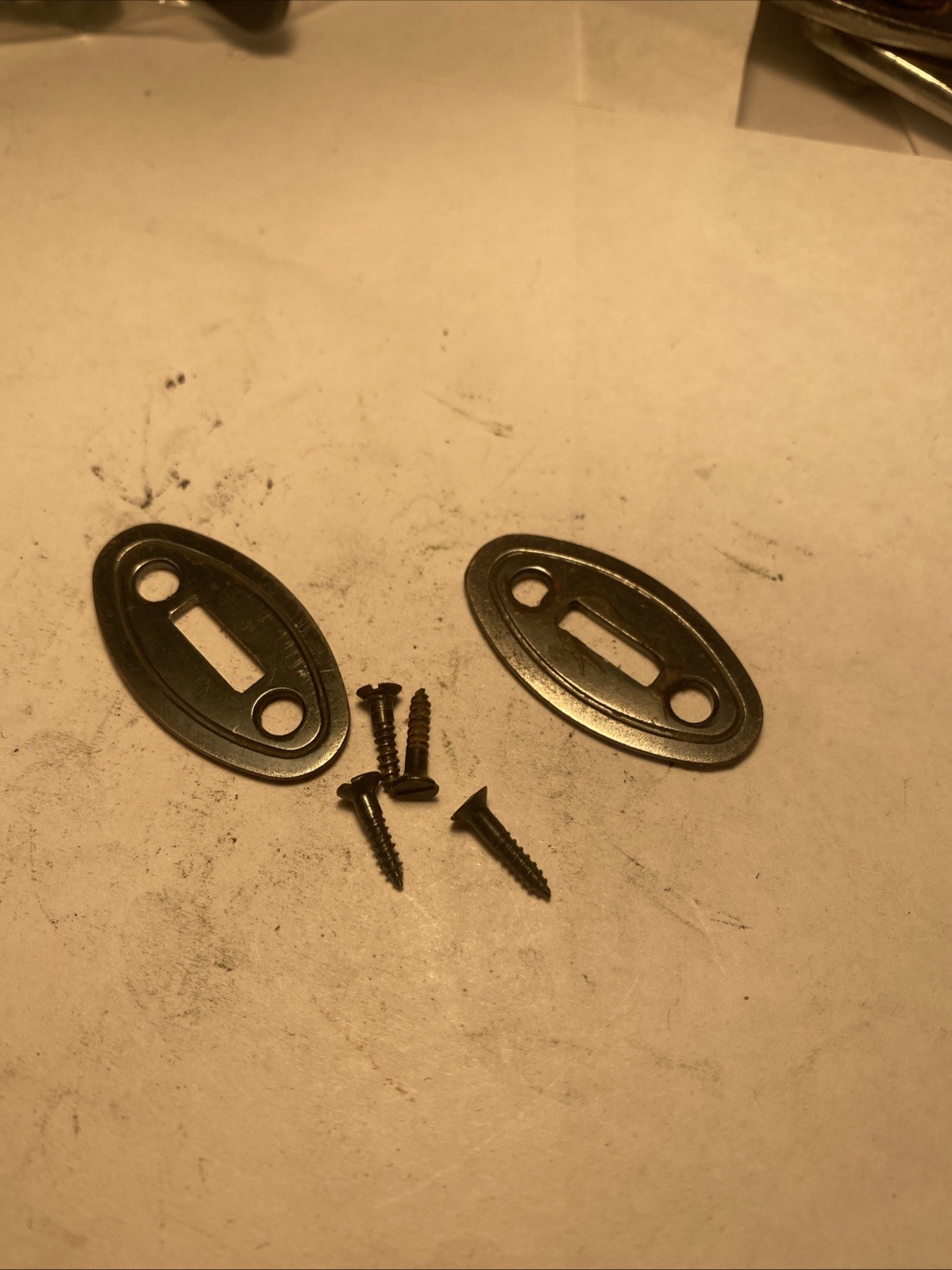 Thompson Center Renegade Muzzleloader Escutcheon Wedge Plates And Screws.
