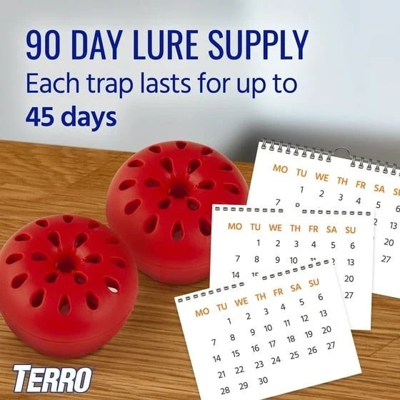 Indoor Fruit Fly Trap, (2-count) , Terro Traps, In Built With Window Sinks...